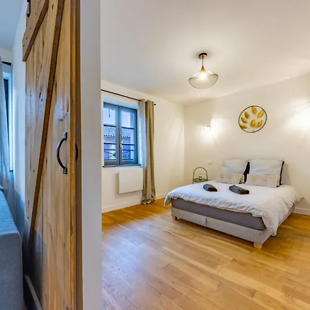 Apartament Le Beau Briand Proche Gare Parking Facile Montauban